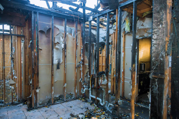 Professional Soot Cleanup technician working in Paeonian Springs, VA